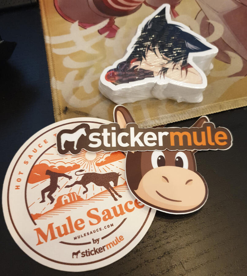 the 50 stickers and extras I got during a 9$ special deal